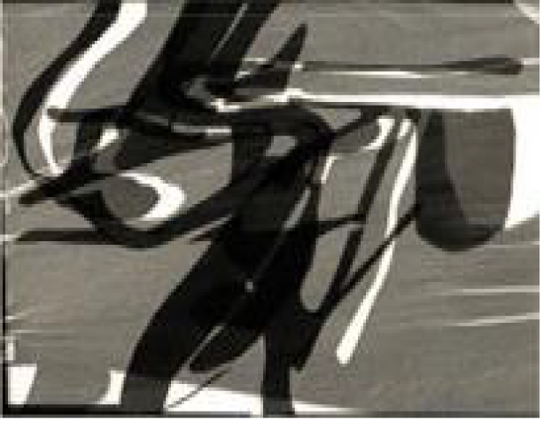 Flight  – Photogram